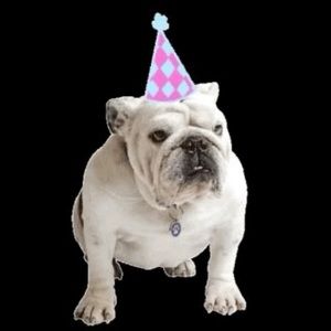 Meet your Posher, Carlo